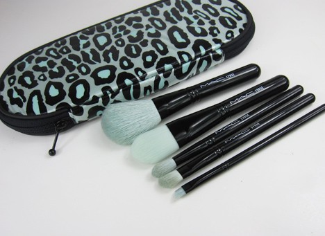 Primped Out PerfectLy Pluche Essential Brush Kit