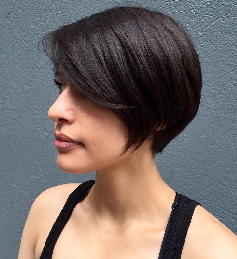 Slanke Brunette Pixie Bob