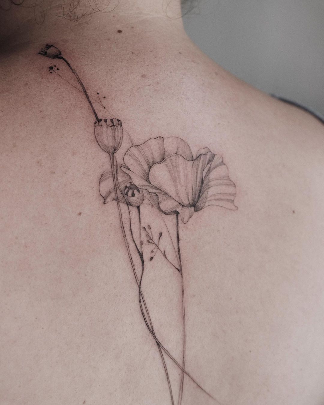 Zwart-witte Poppy Tattoo op de rug