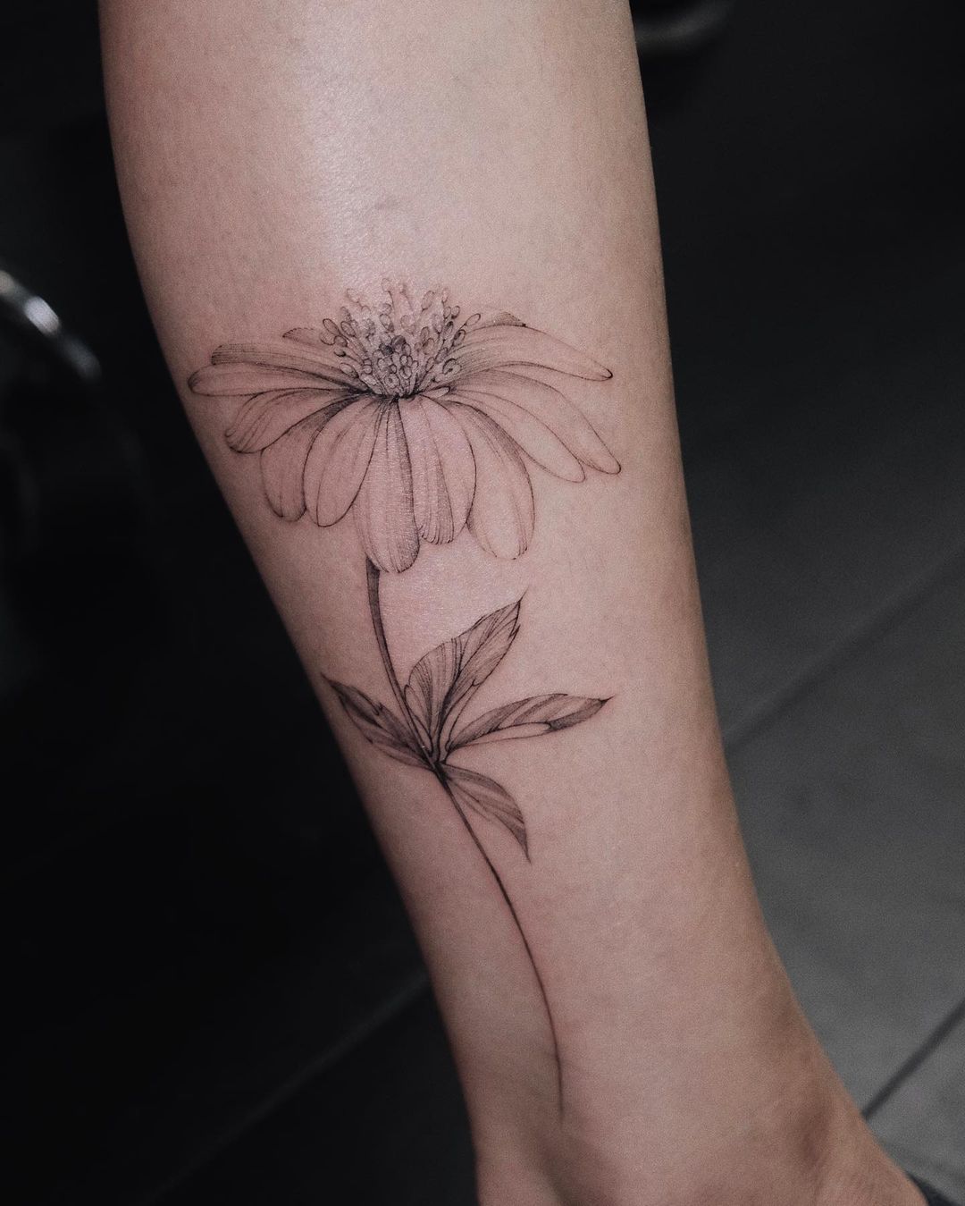 Zwart-wit Aster Flower Tattoo op Arm