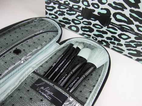 Primped Out PerfectLy Pluche Essential Brush Kit