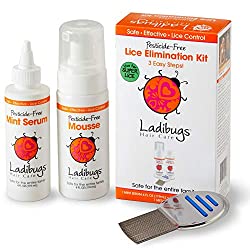 Ladibugs One-and-Done Luizen Behandeling Kit