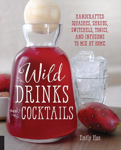 Wilde dranken en cocktails: handgemaakte pompoenen, struiken, switchels, tonics en infusies om thuis te mixen