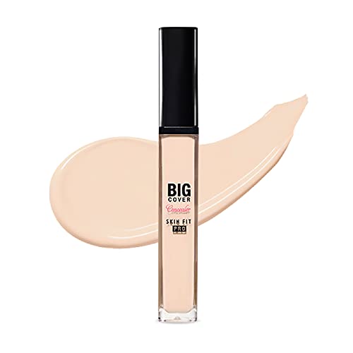 Etude House Big Skin Fit Concealer Pro