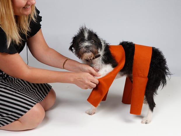 DIY-chia-huisdier-hond-kostuum-hond-broek