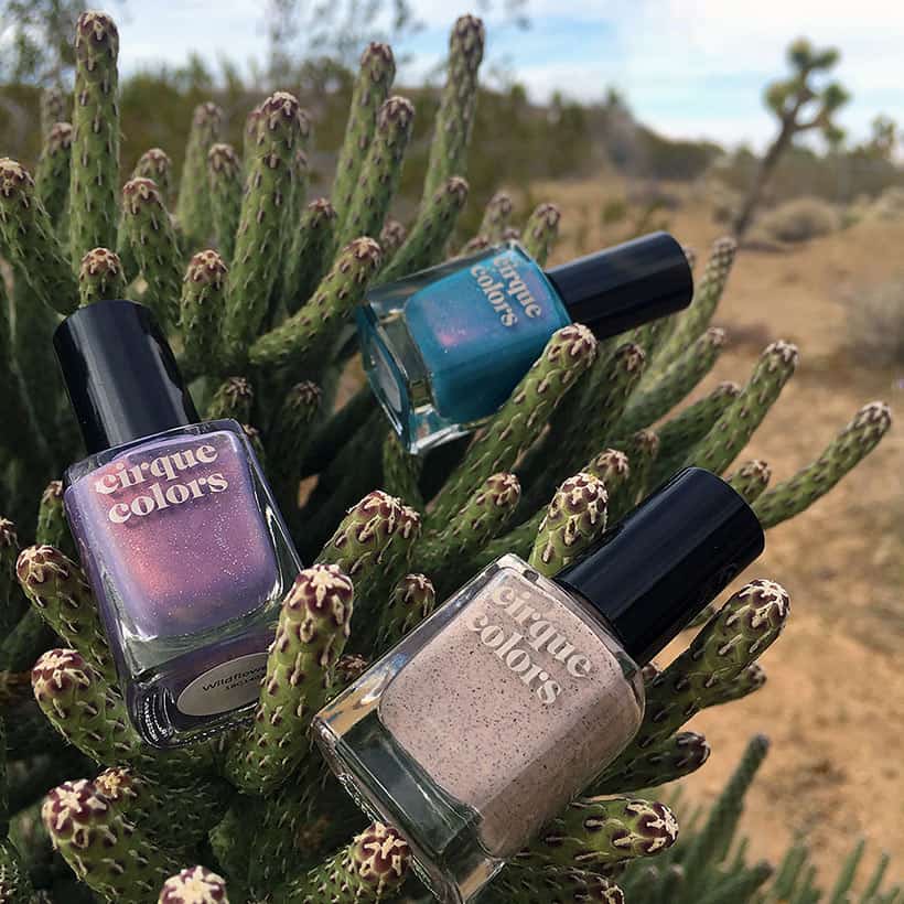 woestijntinten Nagellak in cactus van cirque kleuren