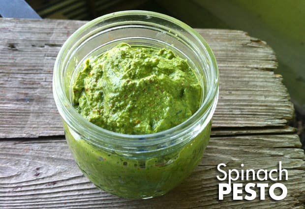 makkelijk Spinazie Pesto recept